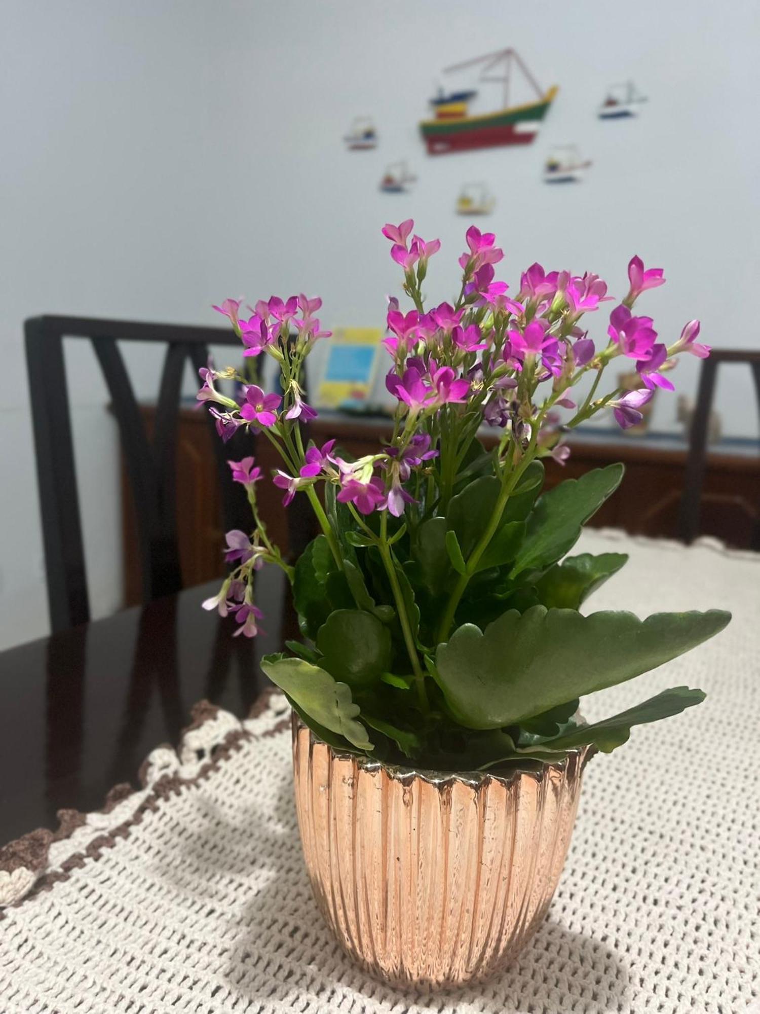 Casa De Praia Caraguatatuba Massaguacu מראה חיצוני תמונה